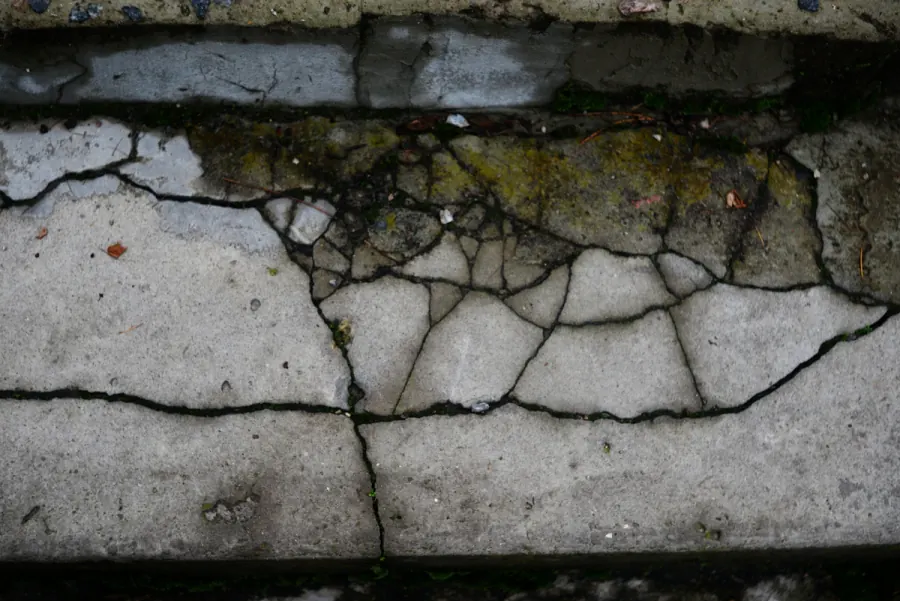 Badly cracked edge of an old concrete slab with moss growing in the fractures