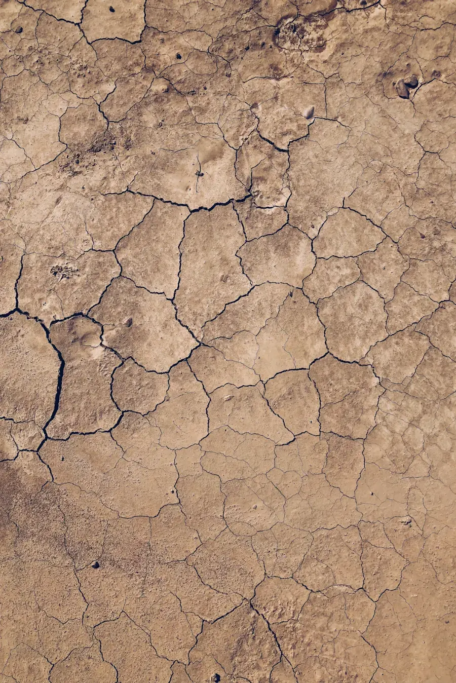 Overhead view of dry clay soil broken by deep shrinkage cracks