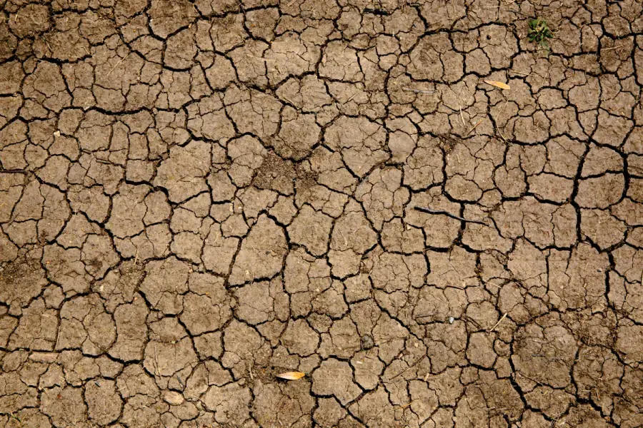 Dry cracked earth broken into fine polygonal plates